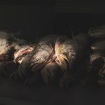 Работают ли индикаторы в трейдинге